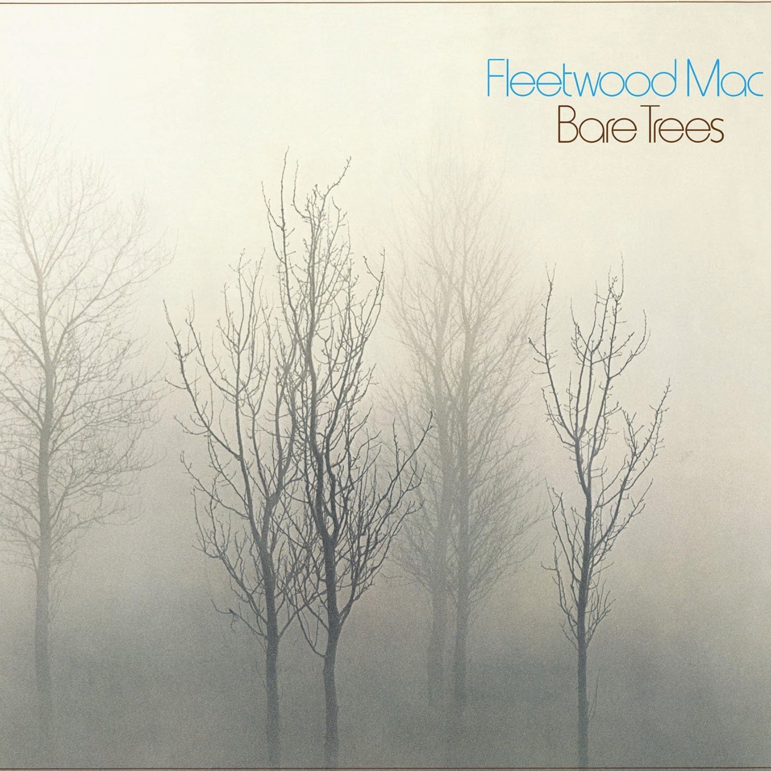 Bare Trees - Rocktober 2025
